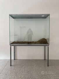 Teca di vetro / Terrario