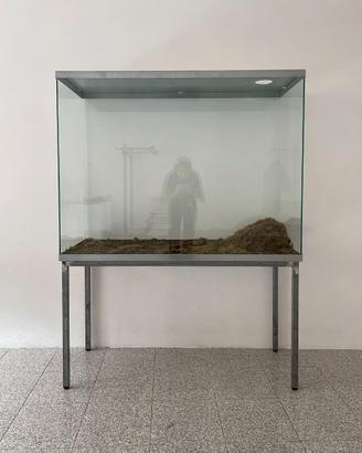 Teca di vetro / Terrario