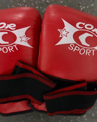 Guantoni FitBox - Come Nuovi