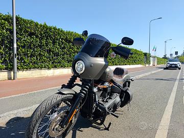 Harley Street Bob 2020