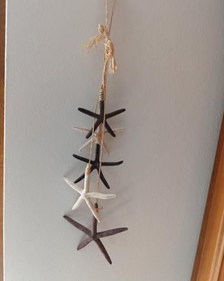 Stelle marine 