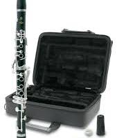 Clarinetto Sib In ABS Yamaha YCL 255 ES