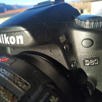 Nikon D80
