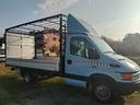 iveco-daily