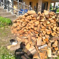 legna da ardere secca