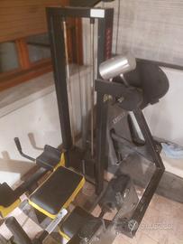 gluteus machine