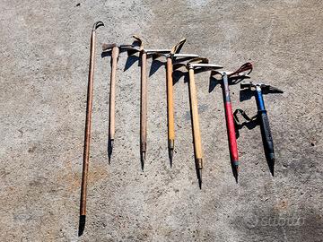 picozze e alpenstoch.