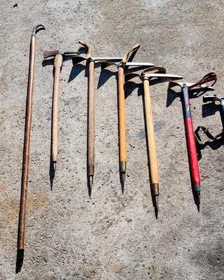 picozze e alpenstoch.