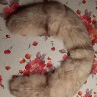 Collo vera pelliccia