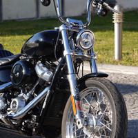 Softail standard