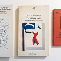 3 libri di  Berardinelli/Enzensberger