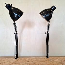 Coppia Lampade RAPTEK Morsetto Nere