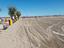 Immagine 10