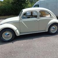 Volkswagen maggiolino 63