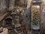 Immagine 26