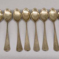 12 Cucchiaini in Alpaca