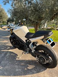 Triumph Speed triple 1050