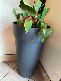 Vaso conico alto