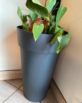 Vaso conico alto