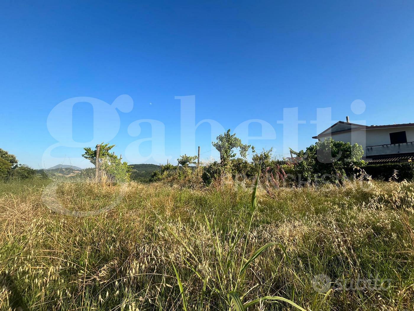 Terreno Agricolo Alife [Cod. rif 3159733VCG] - Altro