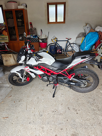 Benelli BN 125 anno 2019