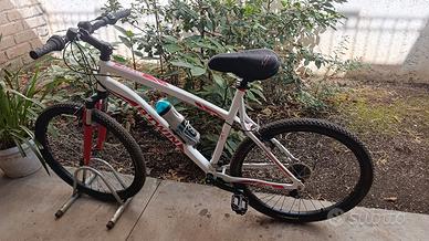 Mountain bike 