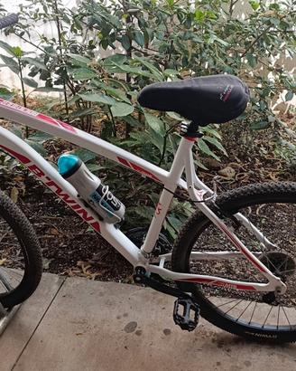 Mountain bike 