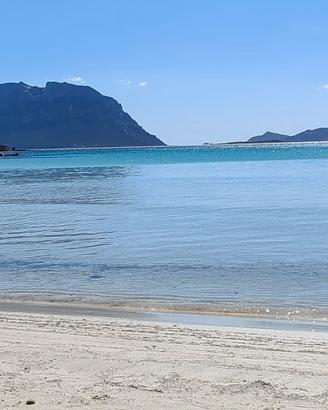 settembre in residence 