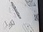 Immagine 6