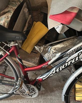 Bici donna 18 rapporti Nuzzi Agorá