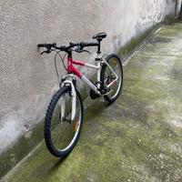 Bicicletta mtb da donna