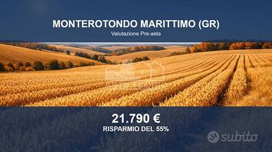 Immobile in asta di 72094 m² a Monterotondo Maritt