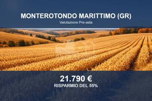 Immobile in asta di 72094 m² a Monterotondo Maritt