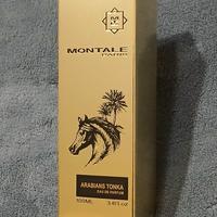 Montale Arabians Tonka