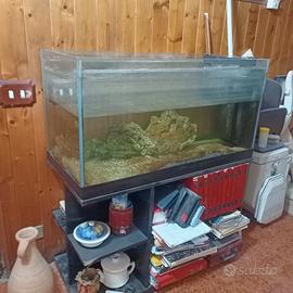 acquario per pesci tropicali