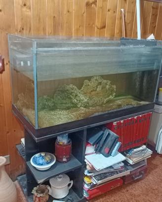 acquario per pesci tropicali