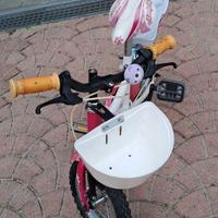 Bicicletta bambina dai 3 ai 6 anni