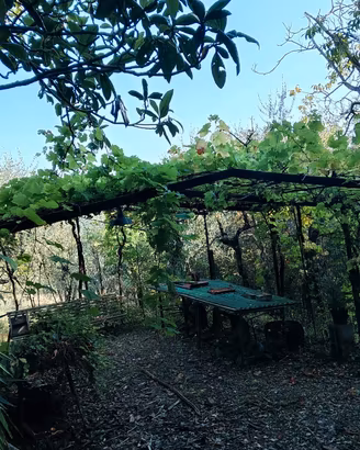 Terreno agricolo zona Bellosguardo le Selve