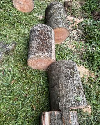 legna da ardere in tronchi  6 euro quintale