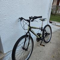 bici da ragazzo 
