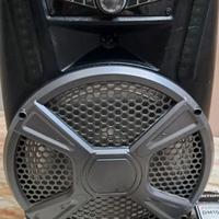 Cassa bluetooth a valigia + Microfono Fenton DM100