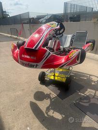 Kart kz birelart s19