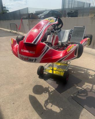Kart kz birelart s19