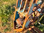 Immagine 16