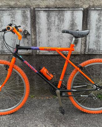 Bianchi Ragno anni 90