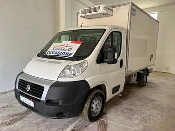 FIAT DUCATO FRIGORIFERO ANNO 2010