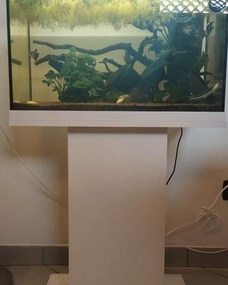 Acquario Juwel Primo 70(61x31x44 cm)con mobile