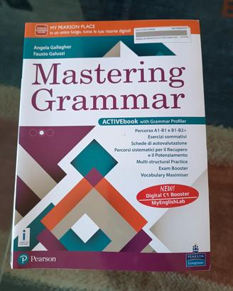mastering grammar