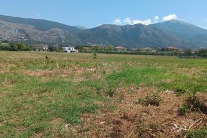 Terreno edificabile a Roccasecca (FR)