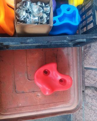 Prese da Arrampicata per Bambini